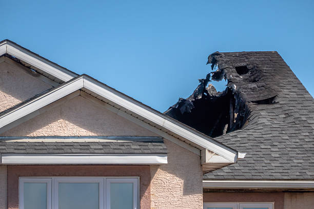 Licensed Content Restoration service in Webster, FL - Fire Damage Biloxi